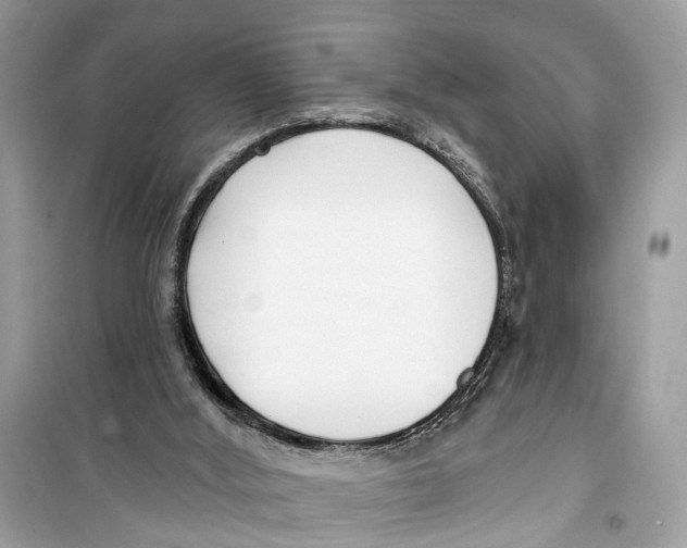 X0000099320012200805231435