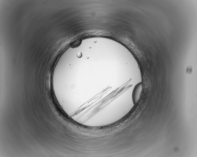 X0000099320014200805231435