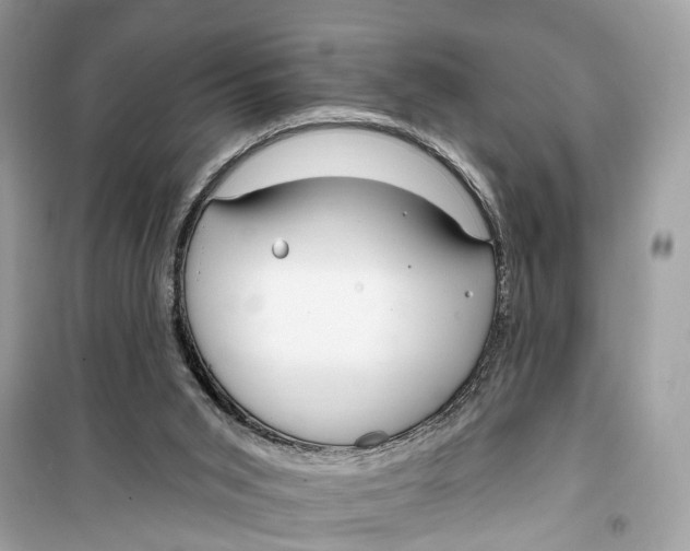 X0000099320015200805231435