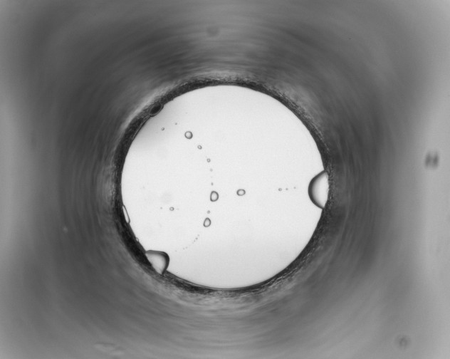 X0000099320016200805231435