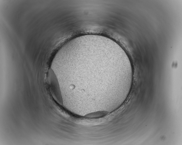 X0000099320017200805231435