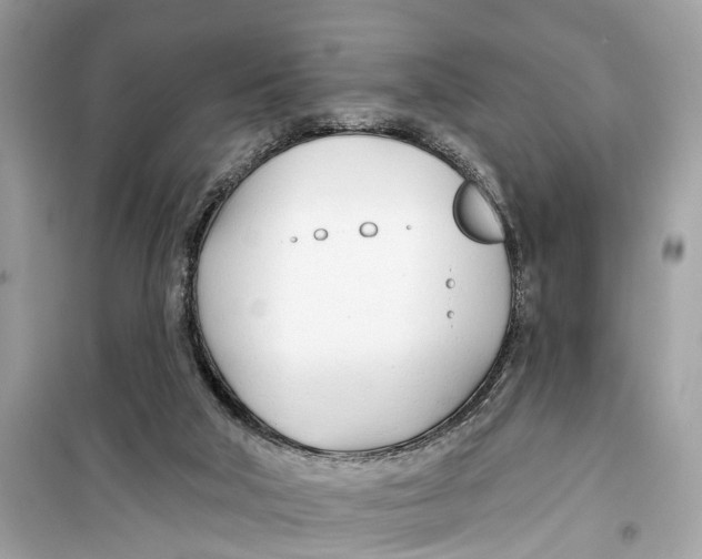 X0000099320018200805231435