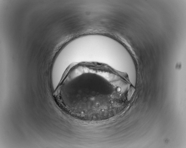 X0000099320019200805231435