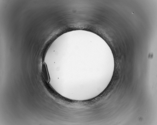 X0000099320020200805231435