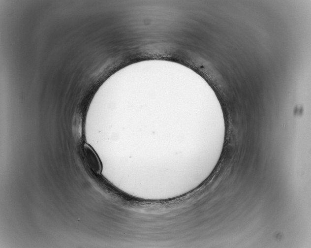 X0000099320021200805231435