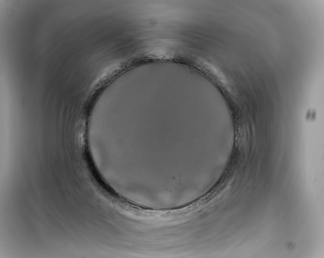 X0000099320023200805231435