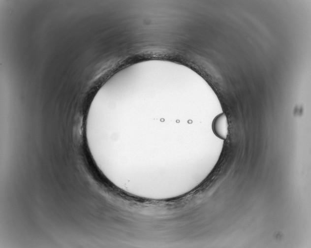 X0000099320024200805231435