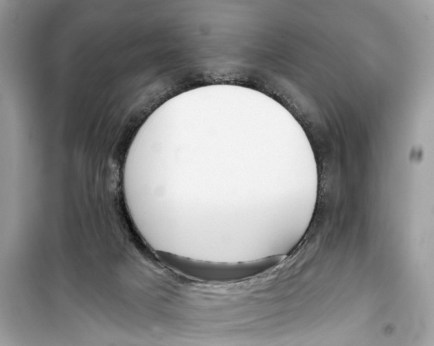 X0000099320025200805231435