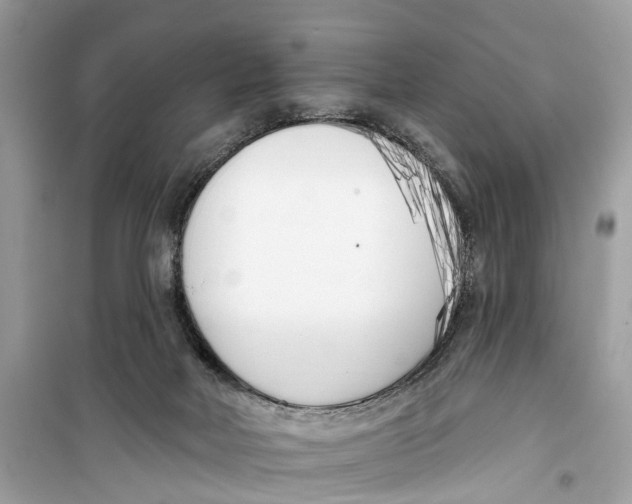 X0000099320026200805231435