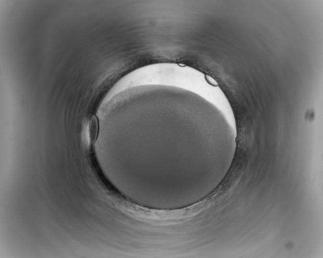 X0000099320027200805231435