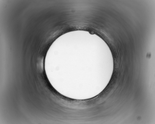 X0000099320028200805231435