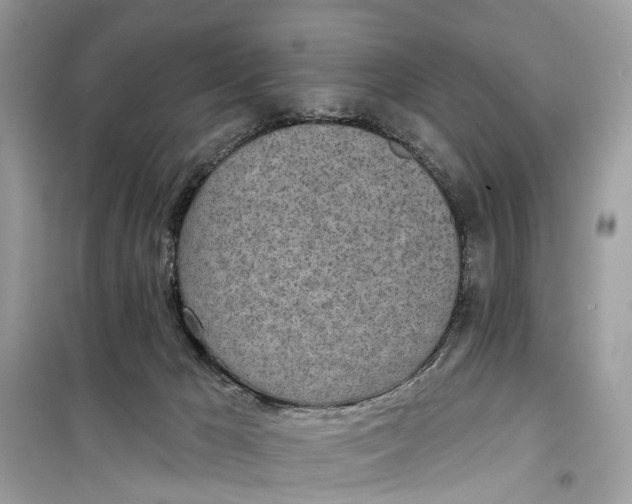 X0000099320029200805231435