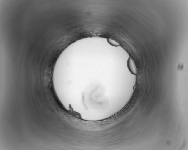 X0000099320030200805231435