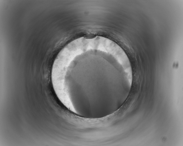 X0000099320031200805231435