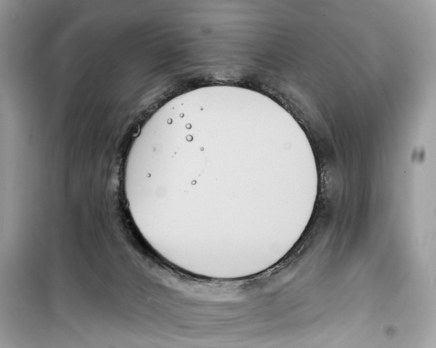 X0000099320032200805231435