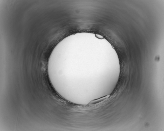 X0000099320033200805231435