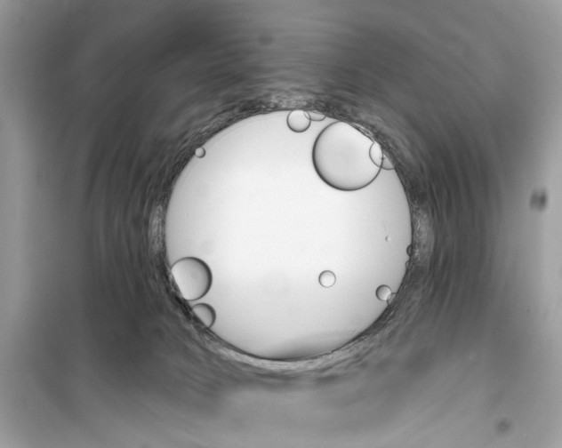 X0000099320034200805231435