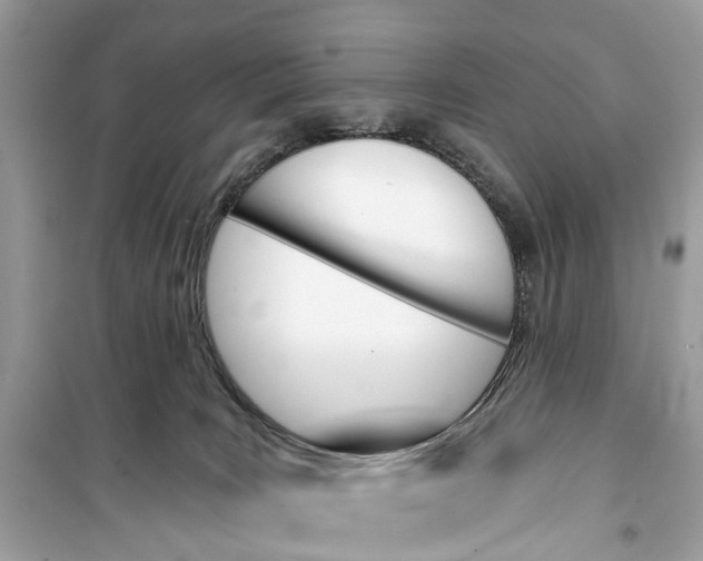 X0000099320035200805231435