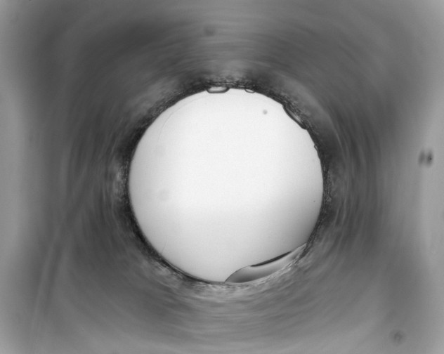 X0000099320037200805231435