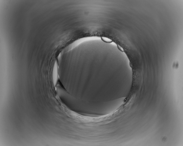 X0000099320039200805231434