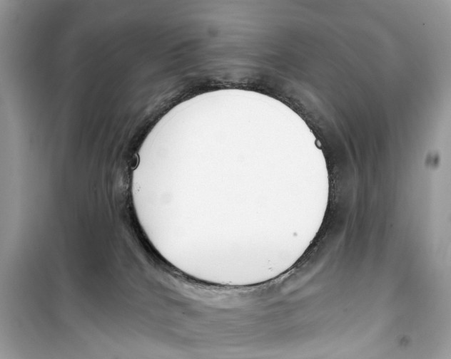 X0000099320040200805231434