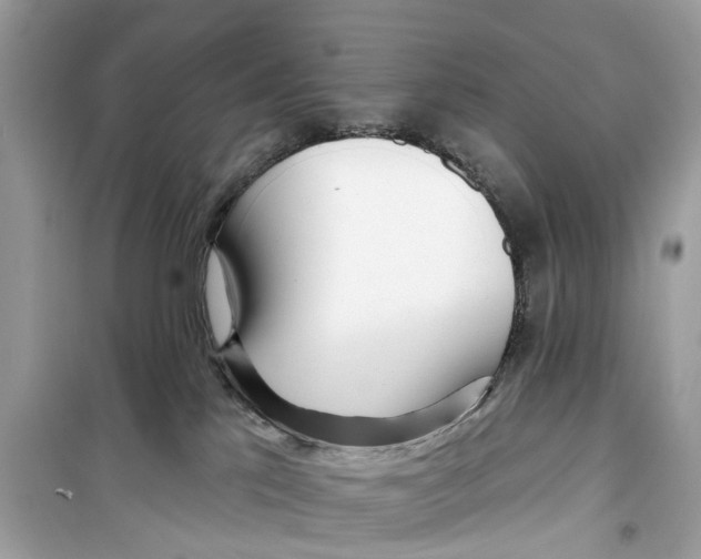 X0000099320041200805231434