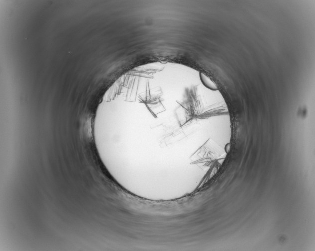 X0000099320042200805231434