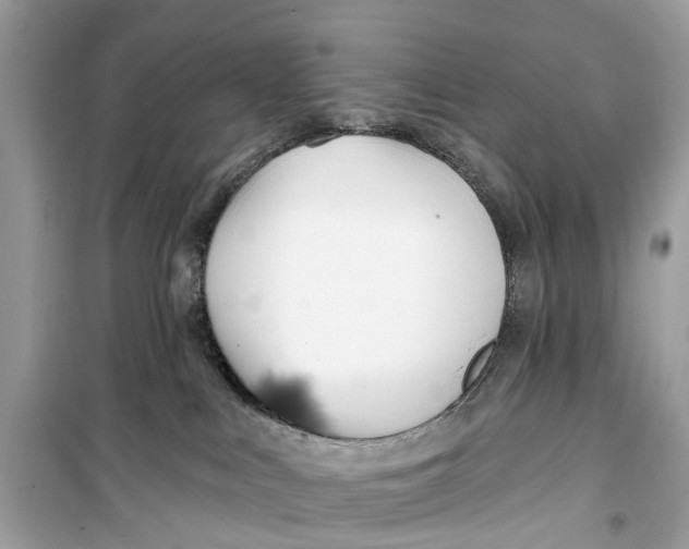 X0000099320043200805231434