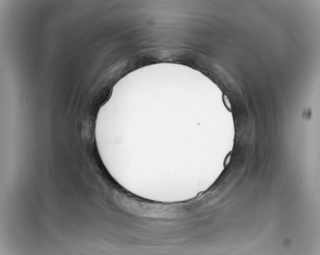 X0000099320044200805231434