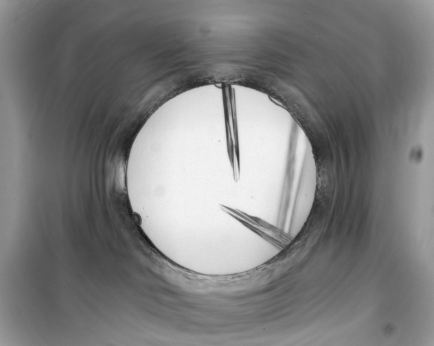 X0000099320046200805231434