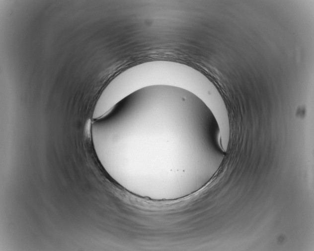 X0000099320047200805231434