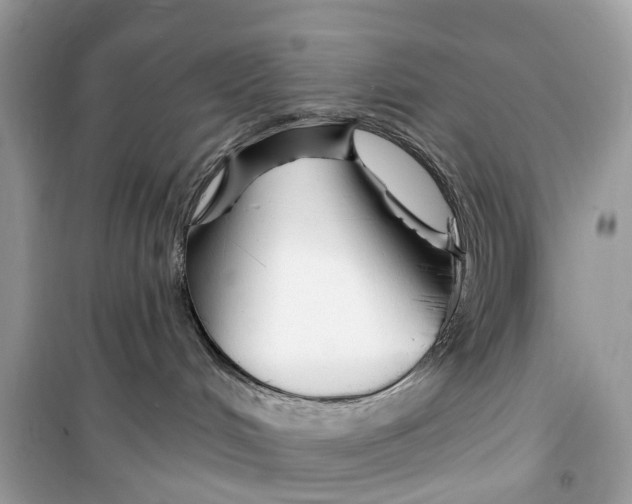 X0000099320048200805231434