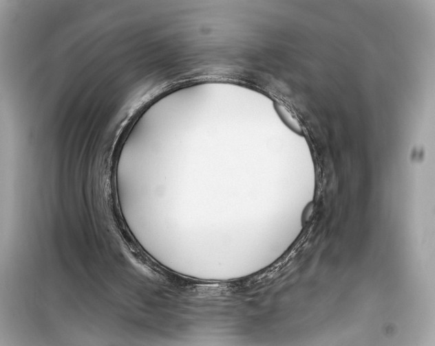 X0000099320050200805231433