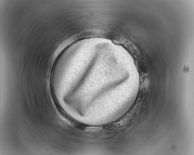 X0000099320051200805231433