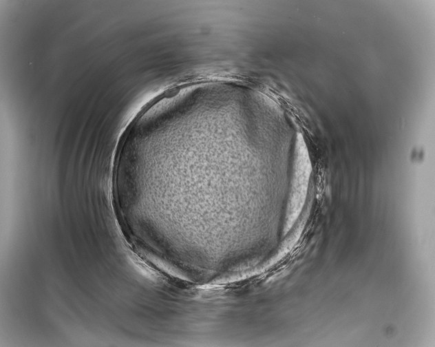 X0000099320052200805231434