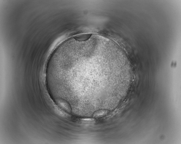 X0000099320053200805231434