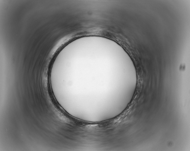 X0000099320054200805231434