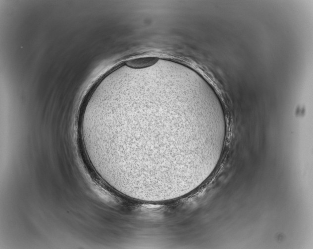 X0000099320055200805231434