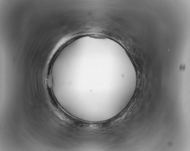 X0000099320056200805231434