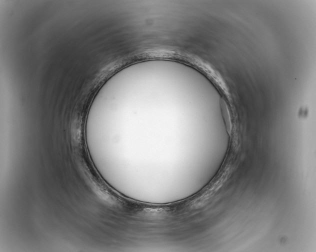 X0000099320057200805231434