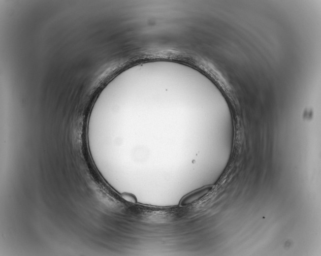 X0000099320058200805231434