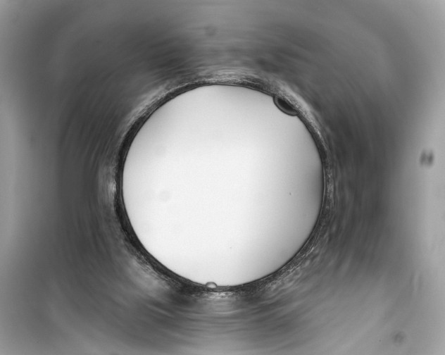 X0000099320059200805231434