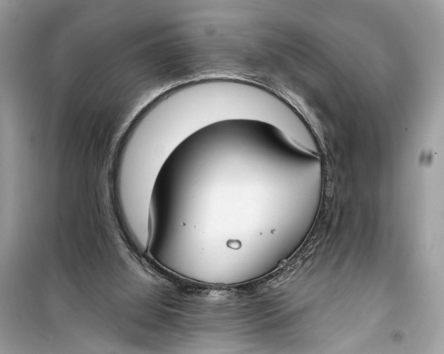 X0000099320060200805231434