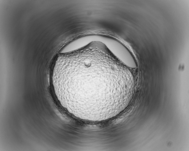 X0000099320061200805231434