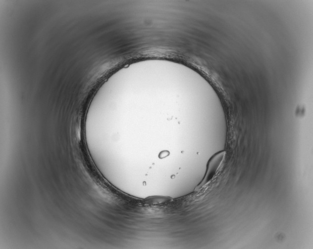 X0000099320062200805231434