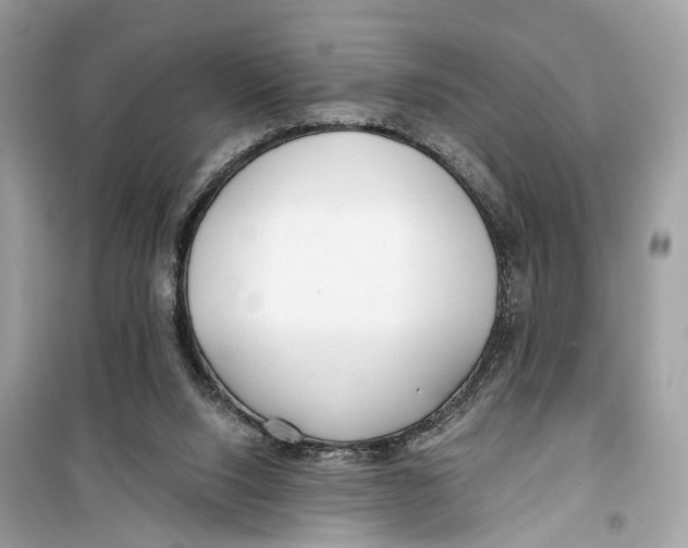 X0000099320064200805231434