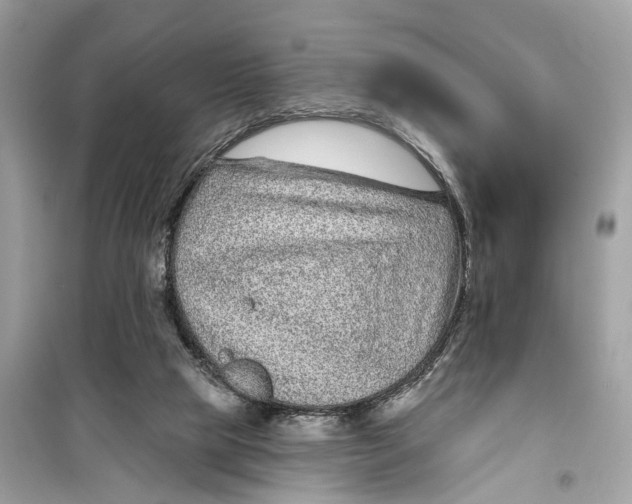 X0000099320065200805231434