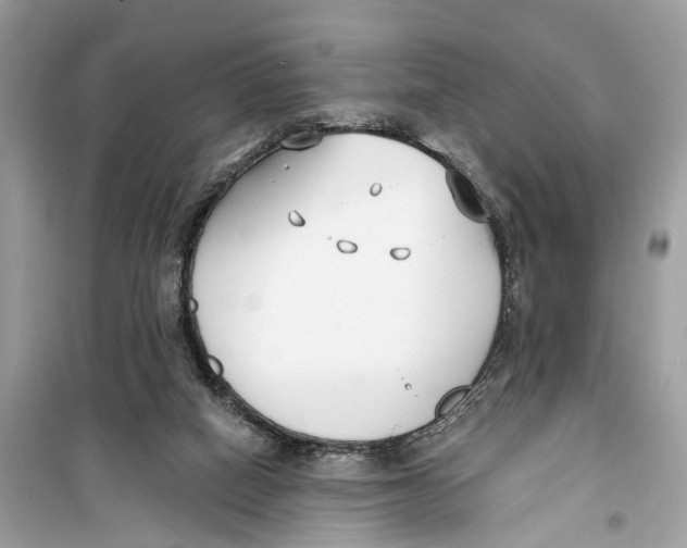 X0000099320066200805231434