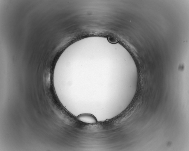 X0000099320067200805231434