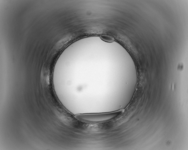 X0000099320068200805231434